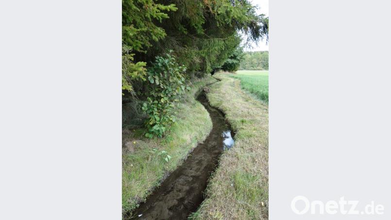 Eine Besonderheit an der böhmisch-bayerischen Grenze ist der vor rund 175 Jahren von Menschenhand geschaffene Reichenauer Mühlbach. Bild: fjo