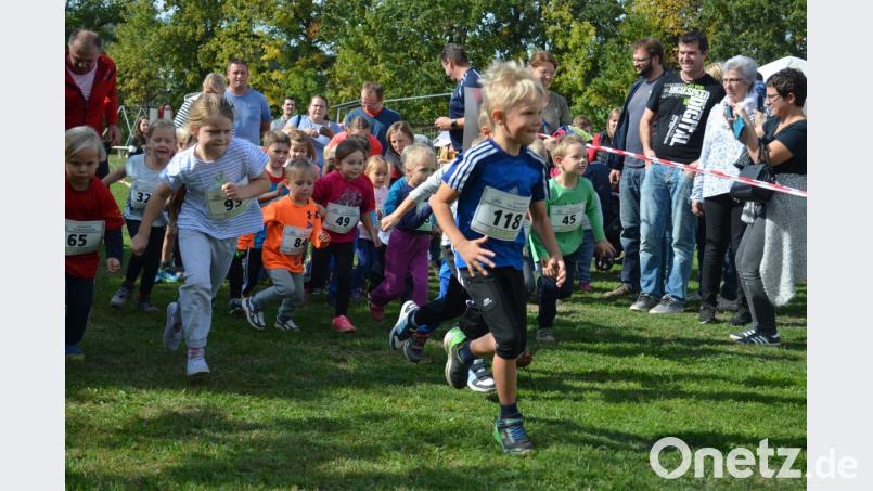 Die Jüngsten sind drei Jahre alt. Bild: fz