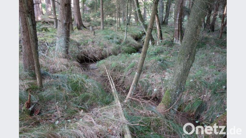 Viele Bachbette machen auch jetzt im Herbst noch einen traurigen Eindruck, aufgrund der über den ganzen Sommer hinweg anhaltenden Trockenheit. Bild: fjo