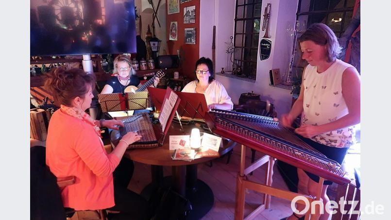 Der Zitherclub Erbendorf hatte die musikalische Umrahmung zur Buchvorstellung übernommen. Bild: bsc
