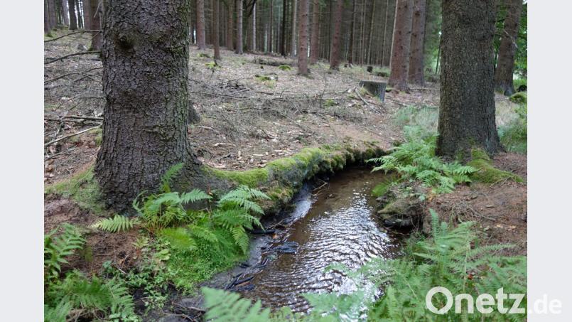 Ein wesentlich niedrigerer Wasserstand als üblich, ist an vielen Stellen noch deutlich zu sehen. Bild: fjo