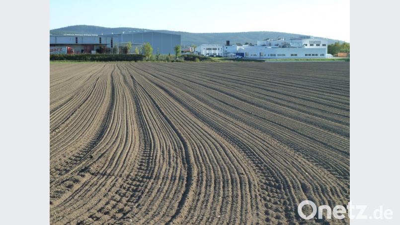 Das Industriegebiet in Nabburg wird in Richtung Perschen durch den Bebauungsplan „Baderfeld“ erweitert. Der Entwurf wurde im Stadtrat vorgestellt. Das Bild zeigt einen Ausschnitt der 1,7 Hektar großen Ackerfläche. Bild: Portner