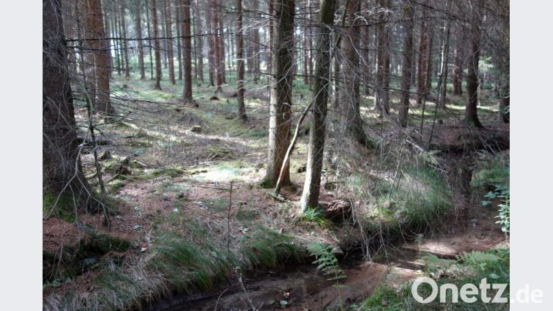 Viele Bachbette machen auch jetzt im Herbst noch einen traurigen Eindruck, aufgrund der über den ganzen Sommer hinweg anhaltenden Trockenheit. Bild: fjo