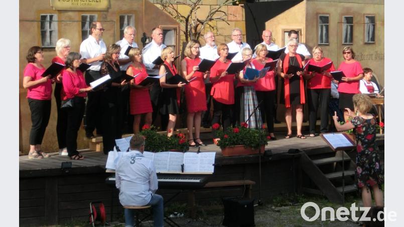 Der Gemischte Chor des Gesangvereins 1860 feiert am Samstag, 13. Oktober, ab 17 Uhr sein 20-jähriges Bestehen mit einem Konzert im Bürgersaal des Hirschauer Josefshauses. Dirigentin Jana Müller (vorne rechts.) wirkt dabei auch als Sopran-Solistin mit, begleitet von Roman Podokschik am E-Piano (sitzend links). Außerdem ist das Musikzug-Bläserquintett „Die Wirtshausfreundlichen“ dabei. Bild: u