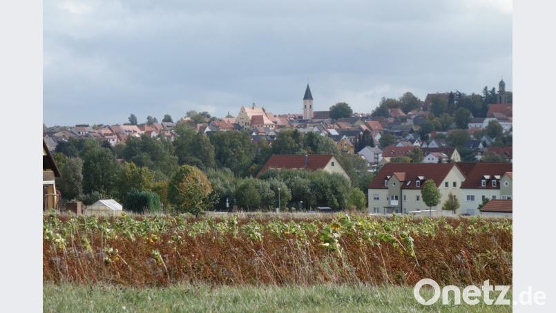 Vohenstrauß steht als größte Gemeinde bei der beabsichtigten Gründung einer &quot;ILE Naturparkland&quot; vor einem entscheidenden Schritt. Bild: fjo