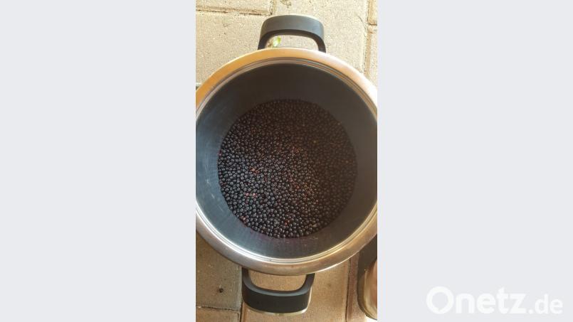 Holunderbeerensaft Bild: ils