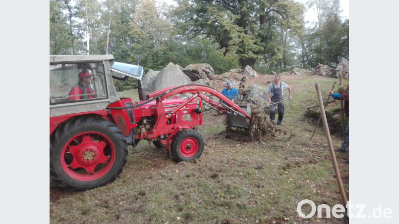 Auch der Bulldog kam mit zum Einsatz, um die schweißtreibende Arbeit etwas zu entlasten. Bild: sl