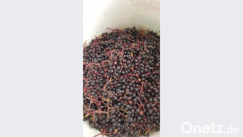 Holunderbeerensaft Bild: ils