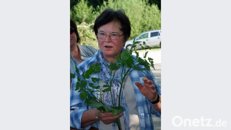 Die Kräuterexpertin Markusine Guthjahr weiß, was dem Körper gut tut. Bild: exb