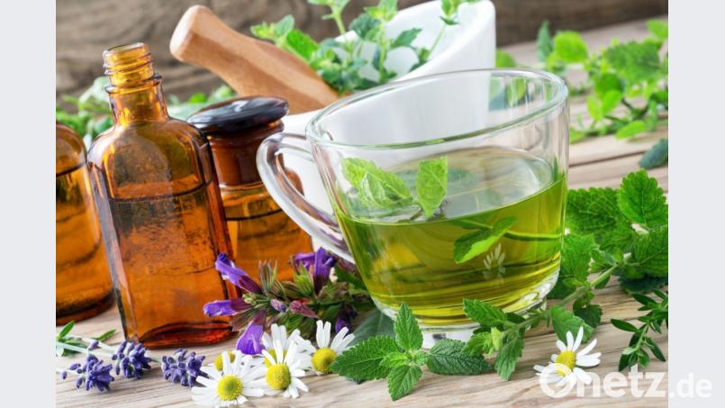 Kräuterexpertin Markusine Guthjahr kennt sich aus in der Speisekammer der Natur. Bild: PhotoSG - stock.adobe.com