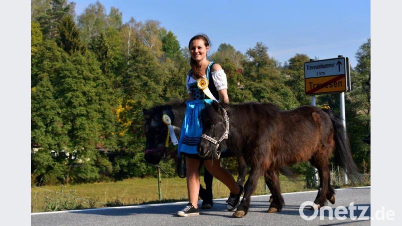 Das brave Pony lässt sich von seiner bildhübschen Chefin führen. Bild: twg
