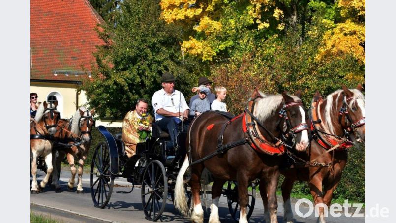 Die Kutsche von Willi Kuhbandner mit Pfarrer Josef Waleszczuk und den Ministranten an Bord wird von zwei stattlichen Süddeutschen Kaltblütern gezogen. Bild: twg