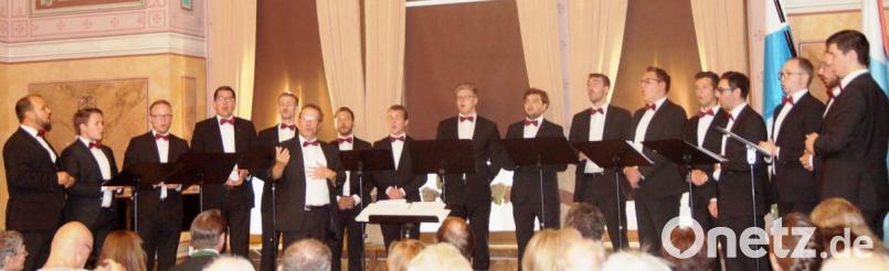 Das Renner Ensemble begeisterte im voll besetzten Schlosssaal mit seinem Konzert zu Ehren des Bayernlandes, das vom Orgelbauverein organisiert wurde. Bild: weu
