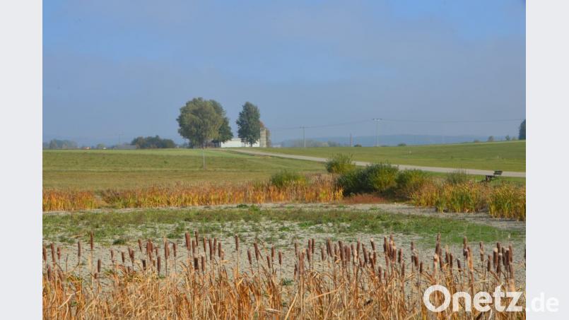 Die Weiheranlage von Helmuth Reinl in Nähe Neumühle ist heuer vollständig ausgetrocknet. Schuld ist aber nicht nur der heiße Sommer. Bild: dob