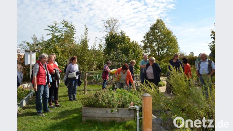 Erste Station einer Kräutergarten-Exkursion ist eine Führung durch den Naturerlebnisgarten Waldsassen. Bild: gi