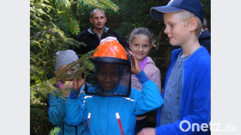 Die Förster zeigen den Kindern, wie eine Kettensäge funktioniert. Die Schüler dürfen dann zusehen wie ein Baum gefällt wird. Bild: exb