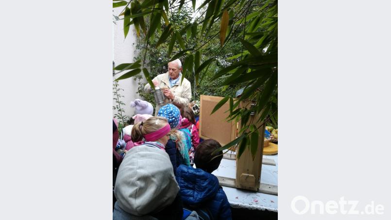 Beim &quot;Bienentag&quot; erklärte Johann Schön vom Imkerkreisverband Tirschenreuth den 22 Vorschulkindern alles rund um die Insekten. Bild: exb