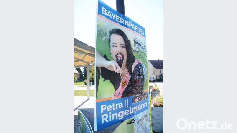 Königliches Antlitz hat ein Unbekannter Bayernpartei Direktkandidatin Petra Ringelmann verpasst. Als Königin Petra II von Bayern posiert sie nun vor ihrem Schloss. Bild: Gabi Schönberger
