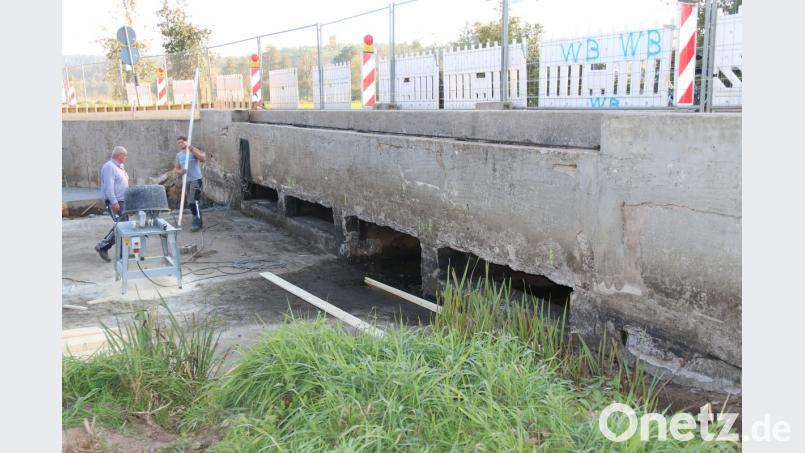 An einer der vier Öffnungen unter der Fahrradwegbrücke wurde die Schwelle entfernt um Tieren den Durchgang zu erleichtern. Bild: sne