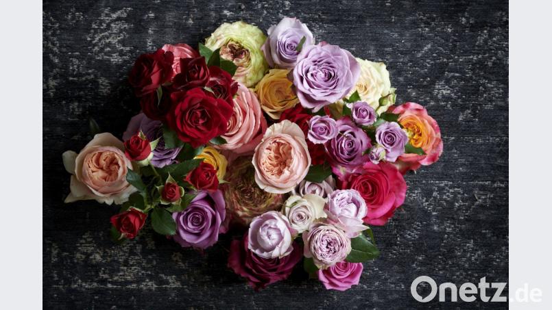 Auf diese Blumen hätte eine junge Oberpfälzerin gern verzichten können: Mit 99 Rosen stand ein ehemaliger Liebhaber aus Asien in ihrem Heimatdorf vor der Haustür. Bild: obs/Blumenbüro Holland