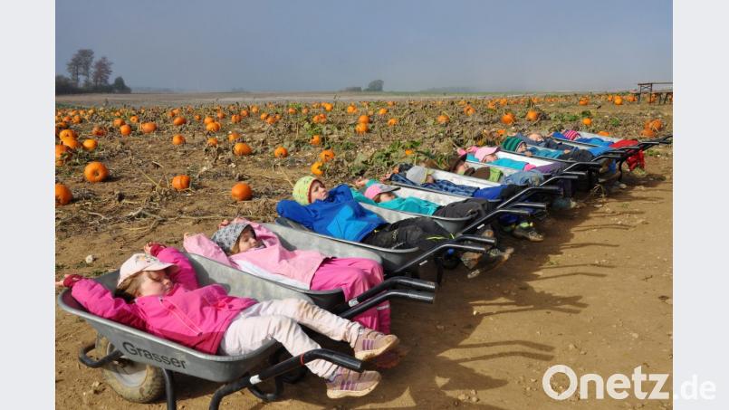 Genau so wie die Kainsrichter Räuberwald-Kinder muss man das machen an einem wunderbaren Herbsttag: Nochmal rausgehen, genießen und dabei ganz entspannt die Nase in die Sonne recken. Bild: Sabine Lindner