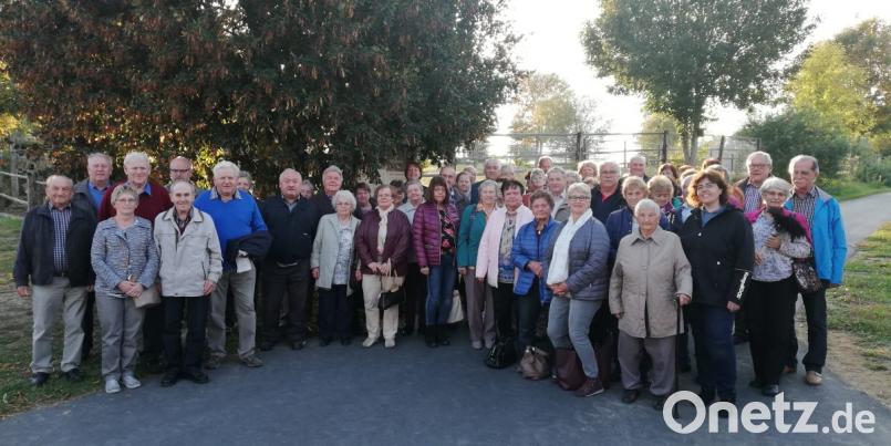 Viele neue Eindrücke gewinnen die Senioren aus Speinshart, Oberbibrach und Vorbach bei ihrem Herbstausflug. Besonders interessant gestaltet sich der Nachmittag auf der Straußenfarm. Bild: exb