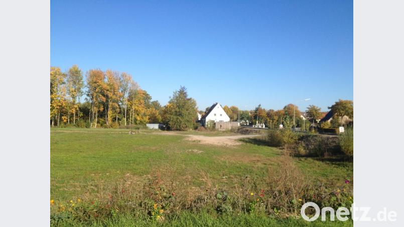 Auf der Brache des Brauhausgeländes soll sich endlich was tun. Diverse Vorschläge für eine Gestaltung hat der Stadtrat schon diskutiert. Konkretes für ein Konzept soll nun einen Planungswettbewerb liefern. Bild: stg