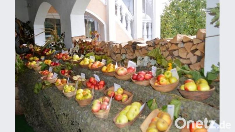 Obstausstellung. Bild: rku