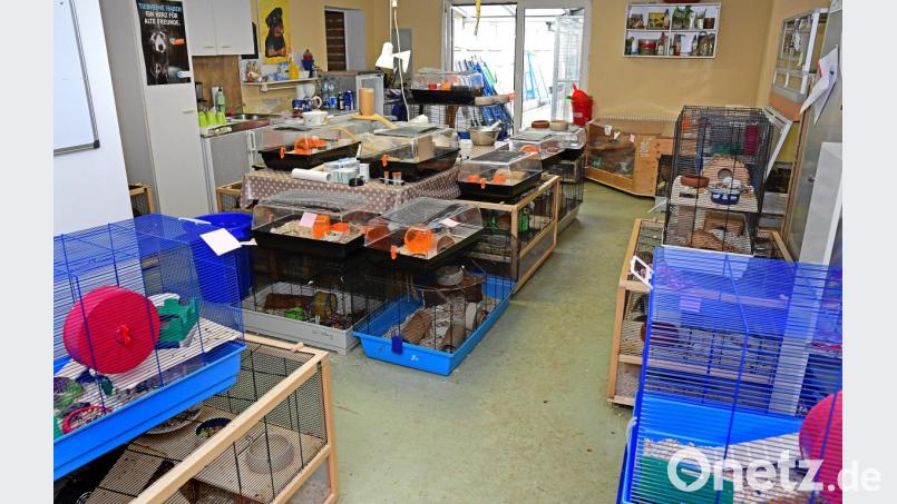 Käfig reiht sich an Käfig: Wo sonst die Helfer des Amberger Tierheims ihre Pausen machten, lebten nach der Kontrolle des Transporters Ratten und anderes Getier. Nun hat sich herausgestellt, nur Details waren an dem Tiertransport zu beanstanden. Bild: Petra Hartl