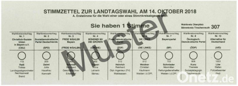 Der Stimmzettel (Muster) Bild: exb