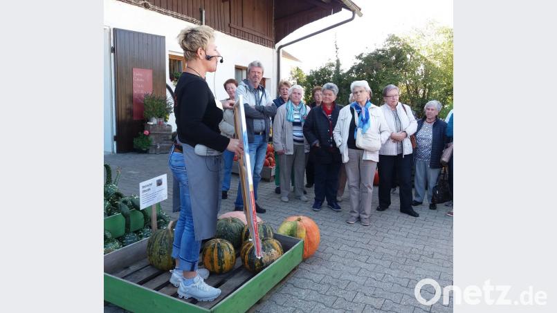 Erlebnisbäuerin Gerlinde Schreyer (links) erklärt die Welt des Kürbisses Bild: Betty Bäumler