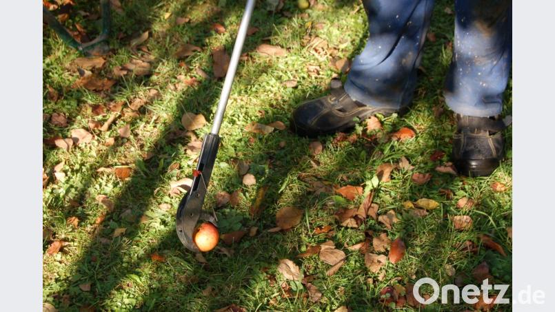 Macht die Apfelernte einfacher: Der Greifer. Bild: exb