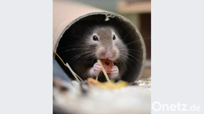 Symbolbild. Bild: Caroline Seidel/dpa