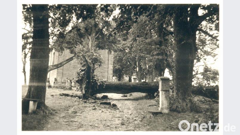 Vor der Bergkirche Maria Zell wurde beim Unwetter im Juli 1956 eine mächtige Linde entwurzelt. Bild: ü
