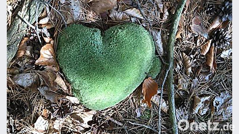 Ein Herz aus Moos Bild: Marco Bamler