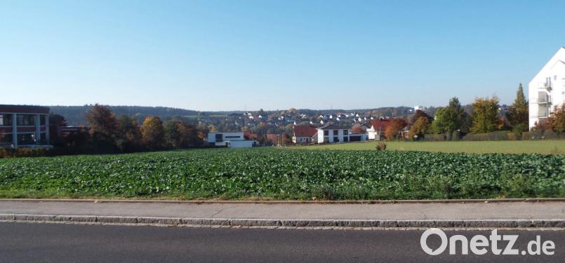 Die Fläche zwischen Rathaus und AWO-Seniorenheim ist nicht mehr lange ein Acker. Die Planungen für den Seniorenwohnpark am Rathaus sind in einer konkreten Phase. Demnach entsteht das Wohn- und Geschäftsquartier zwischen der Zeilenstraße (rechts neben dem AWO-Seniorenheim) und Schulstraße (Vordergrund) entlang des Rathauses (links) Richtung Vilstalstraße Bild: e