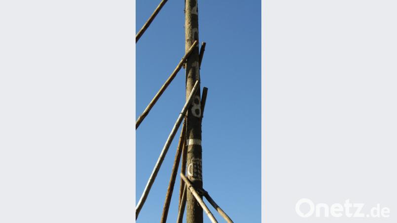 Mehrere Stangenpaare, die sogenannten Schwalben, werden am Kirwabaum angesetzt. Bild: sck