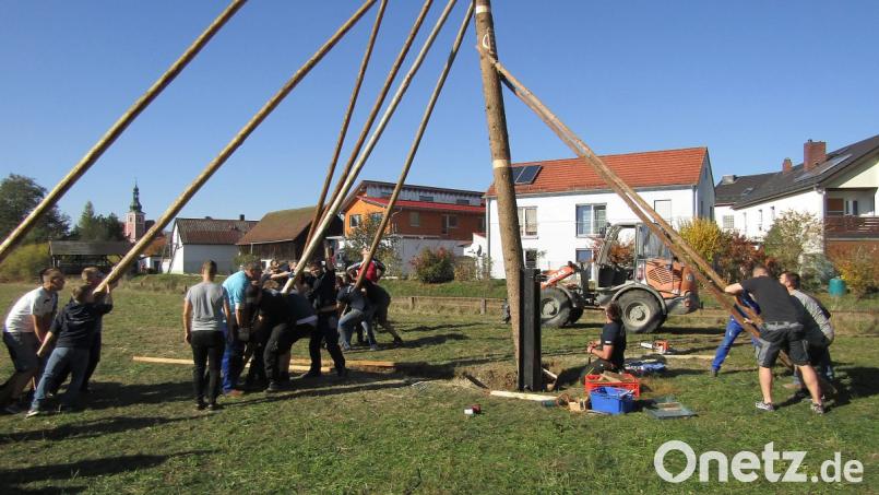 Mit reiner Muskelkraft hieven die Michelfelder ihren Kirwabaum in die Senkrechte. Bild: sck