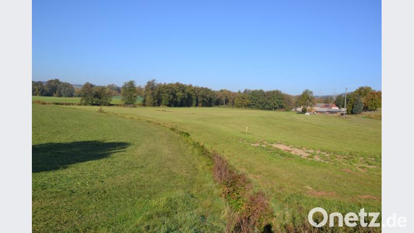Die Renaturierung des Gruberbaches soll das Bächlein wieder in seinen früheren Zustand versetzen, um die EU-Wasserrahmen-Richtlinie erfüllen zu können. Bild: gi
