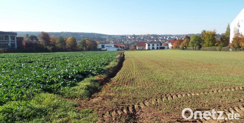 Die Fläche zwischen Rathaus und AWO Seniorenheim ist schon immer Acker – nicht mehr lange. Die Planungen für den Seniorenwohnpart am Rathaus sind in einer konkreten Phase. Demnach wird das Wohn- und Geschäftsquartier zwischen der Zeilenstraße (rechts neben AWO Seniorenheim), Schulstraße (Vordergrund) und entlang des Rathauses (links) Richtung Vilstalstraße Bild: e