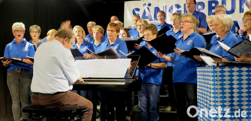 Der gemischte Chor des Sängerbundes unter der Leitung von Michael Koch brachte das "Schwandorf-Lied" zu Gehör. Bild: Hirsch