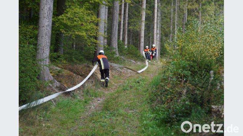 Über 100 Aktive von acht Feuerwehren waren bei der Waldbrandübung im Einsatz. Dabei wurden 1,5 Kilometer Schlauchleitung durch den Forst im Stückstein-Gebiet verlegt. Bild: mmj