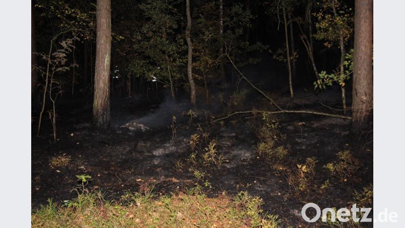 Bei Bernhardswald hat ein Waldstück gebrannt. Bild: Alexander Auer