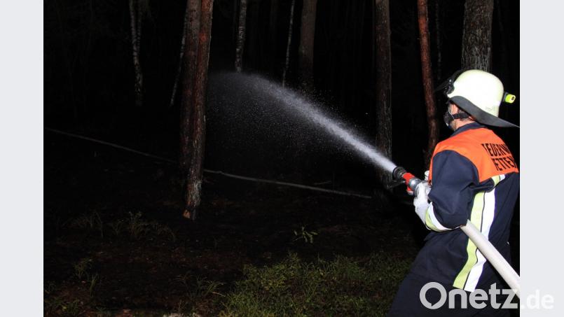 Bei Bernhardswald hat ein Waldstück gebrannt. Bild: Alexander Auer