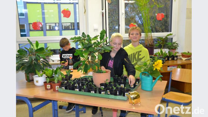 Viele Besucher feiern beim Herbstfest der Mittelschule. Bild: exb