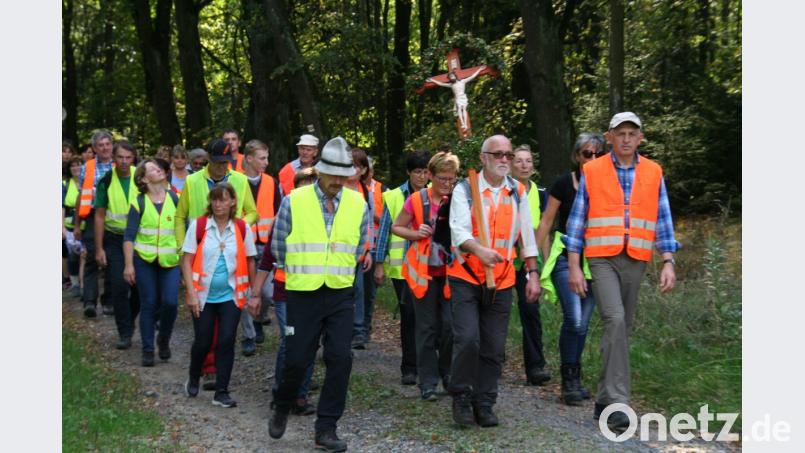 Die Pilger aus Waldershof und Marktredwitz auf dem Weg nach Maria Kulm. Bild: fpoz
