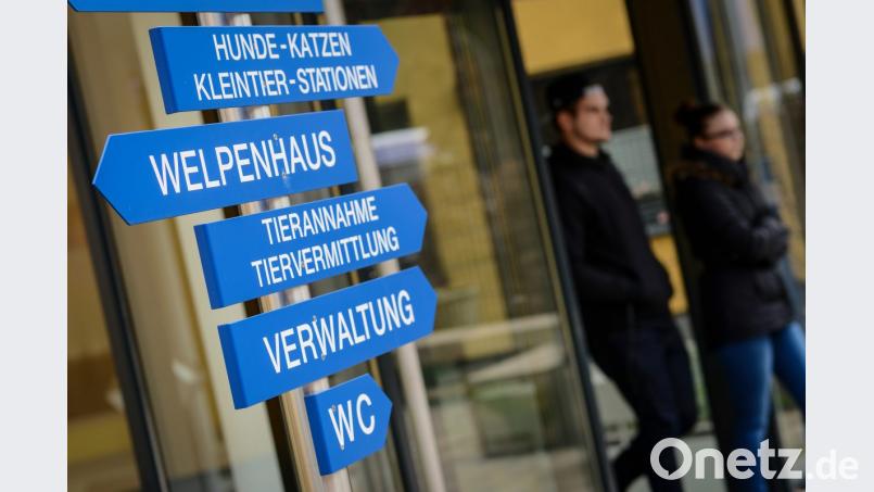 Bild: David Ebener/dpa