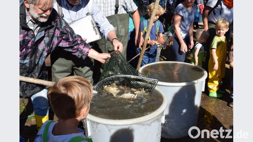 So viele Fische auf einmal. Die Kinder wussten nicht ,wo sie zuerst hinschauen sollten. Bild: bnr