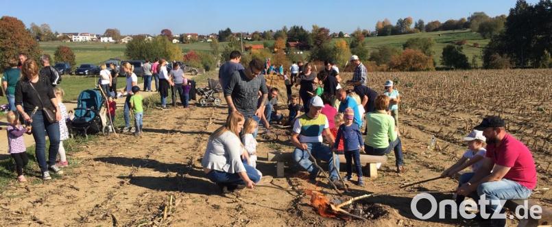 Auf dem Acker bei Kalmreuth geht es beim Herbstfest des Kindergartens &quot;Unterm Regenbogen&quot; bunt zu. Bild: le