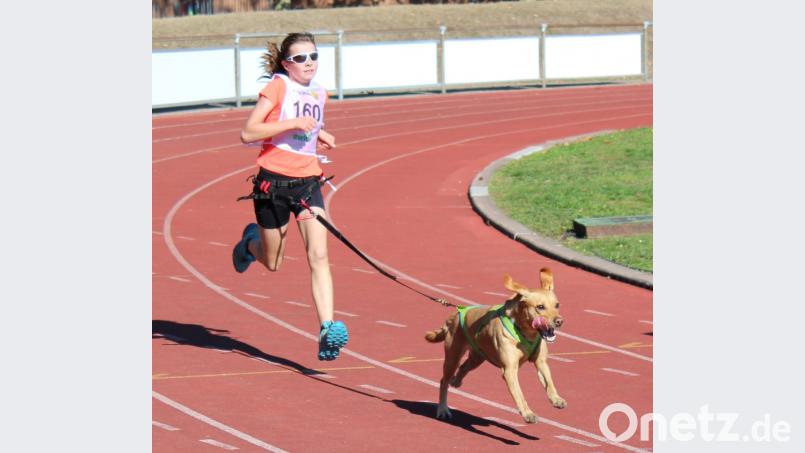 Julia Klein und ihre Labradorhündin Luna waren in der Hundesportsaison 2018 nicht zu schlagen. Bild: exb
